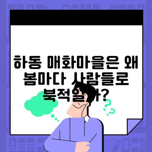 하동 매화마을은 왜 봄마다 사람들로 북적일까?