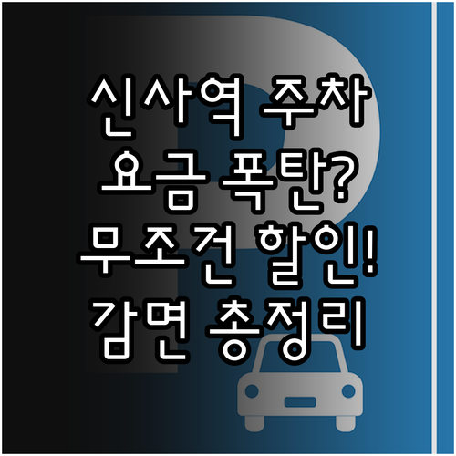 신사역 노상 주차장 위치와 대상별 요..