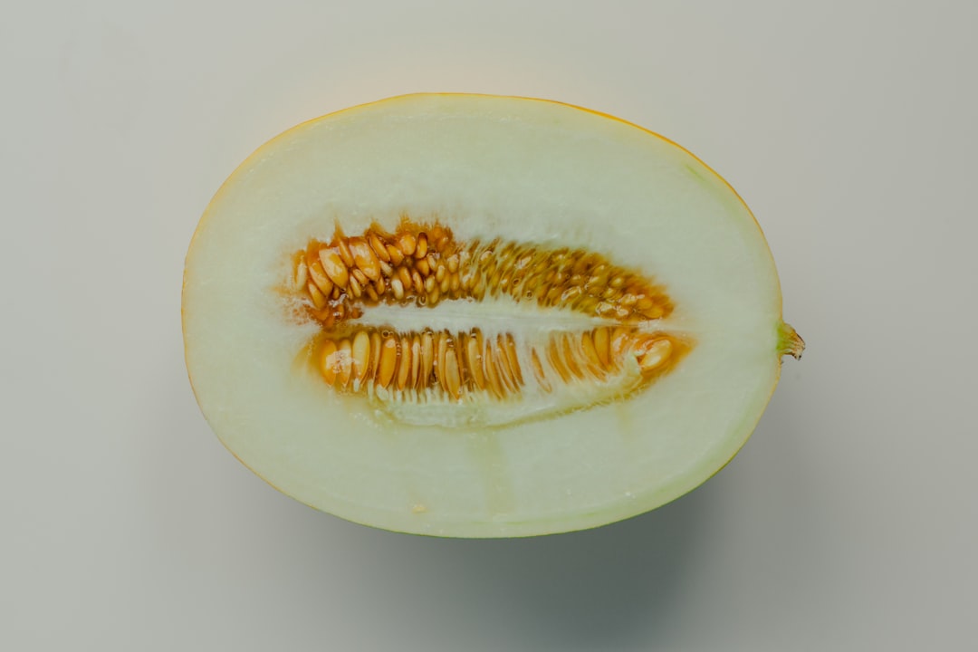 Melon ticket
