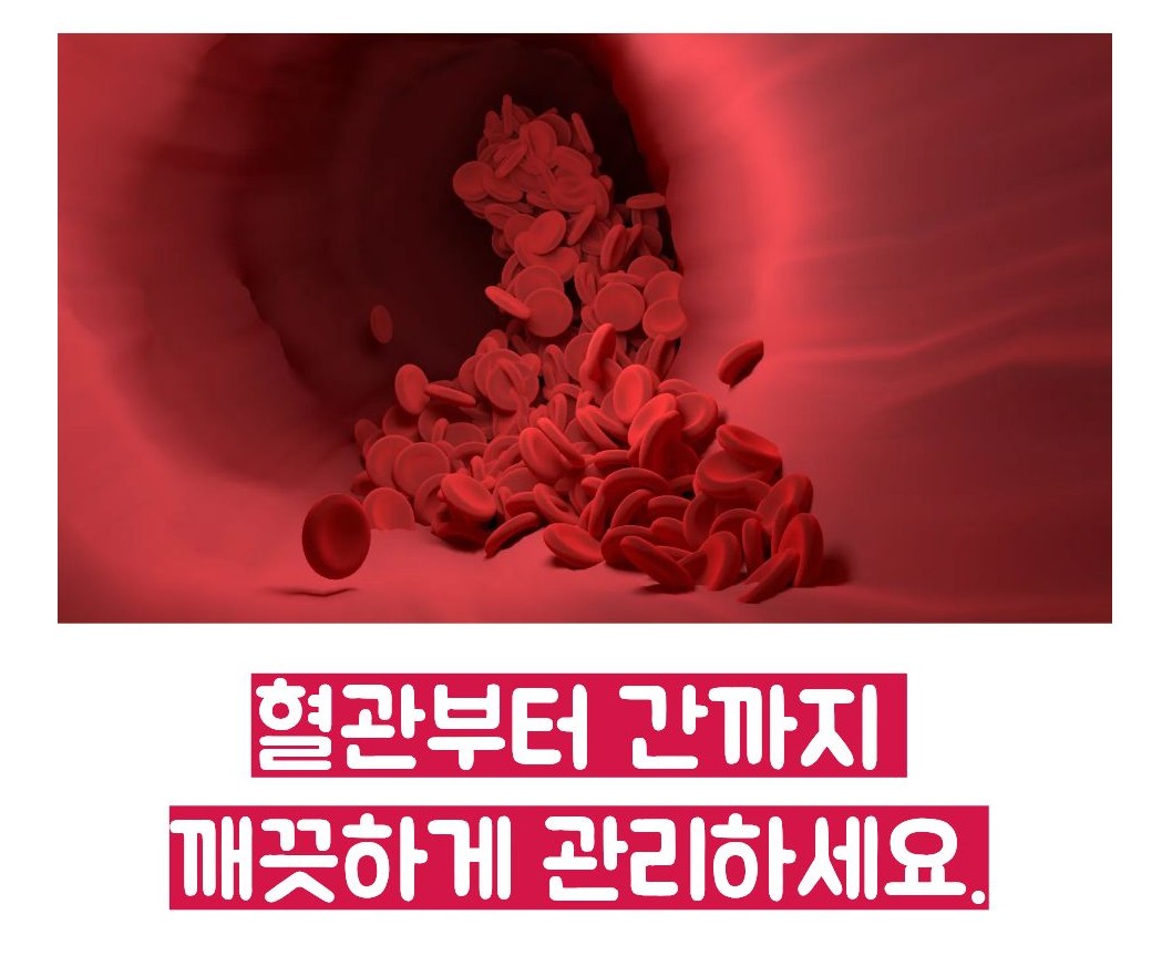 비트 효능