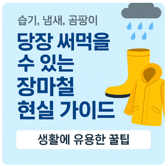 당장 써먹을 수 있는 장마철 현실 가이드