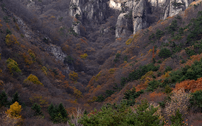 대둔산 케이블카 요금