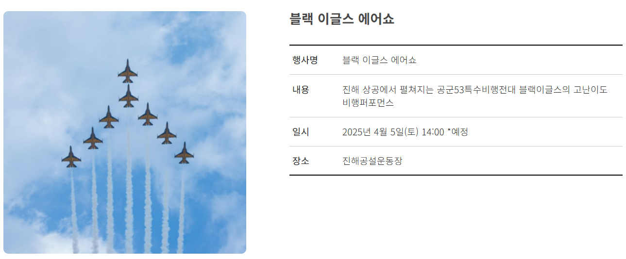 블랙 이글스 에어쇼