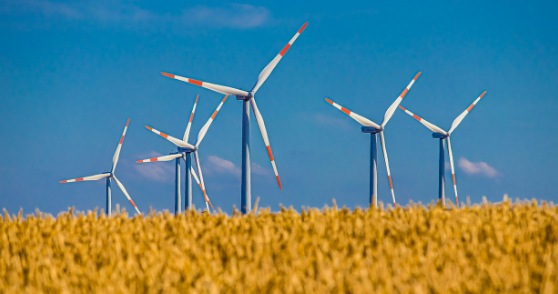 환경 &amp; 지속 가능성 관련 직업