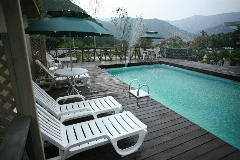 경기도 청평 자연휴양림 주변 맛집 카페 마트 오일장 특산물 강아지 동반 정보