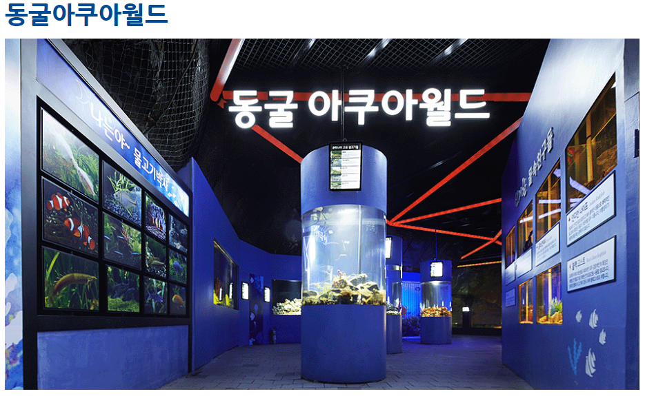 여름 실내 휴가지 광명동굴 ㅣ즐길거리, 입장료, 운영시간, 주차장