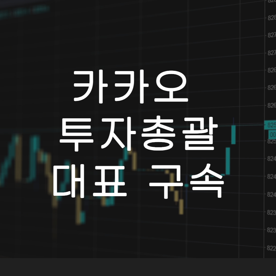 카카오 총괄대표 구속