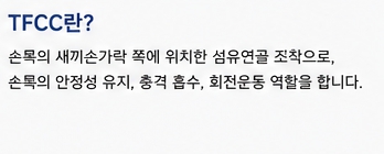 손목 골절