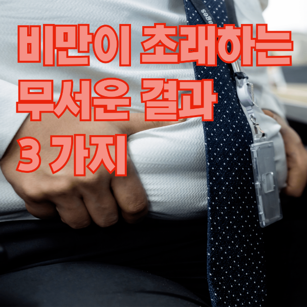 비만남성 뱃살 이미지