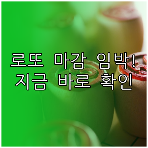로또 토요일 마감 시간과 요일별 구매..