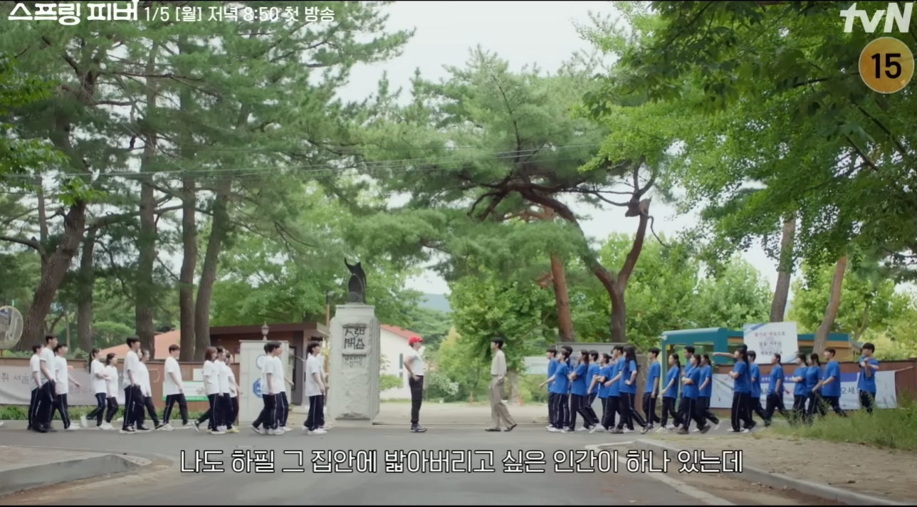 스프링 피버