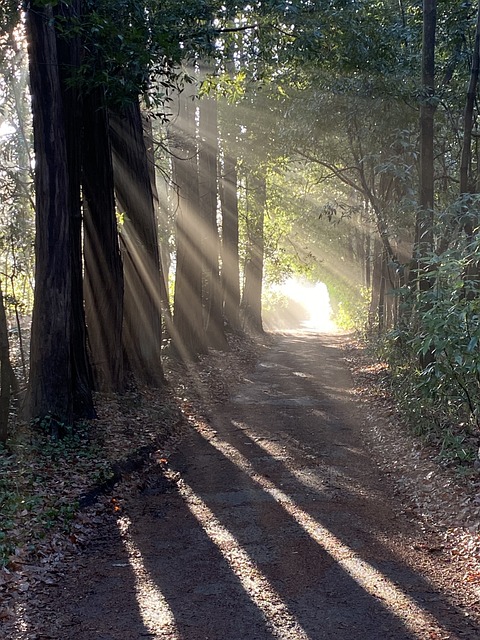 매일 걷기 30분이 삶을 바꾸는 이유