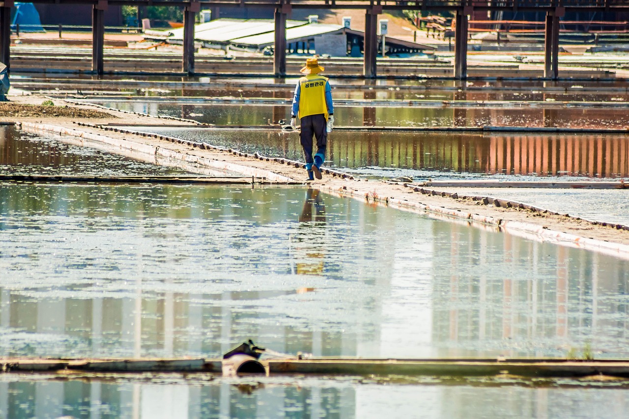 하얀 소금의 바다