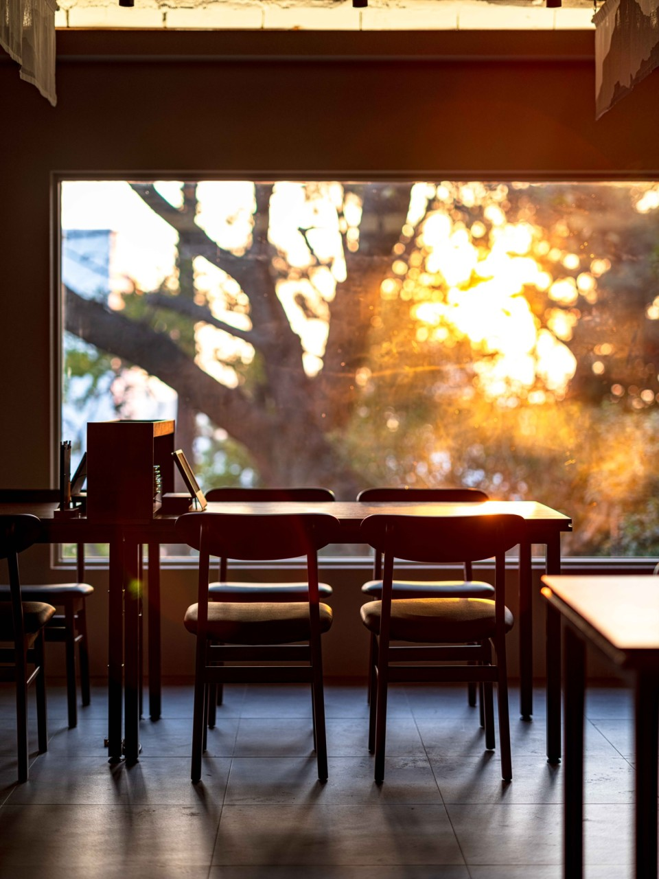 생생정보 낙지보쌈 광안리