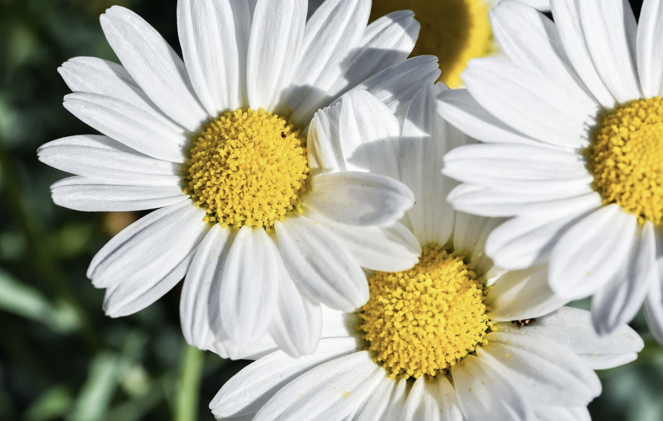 스파-노천탕-힐링-사진