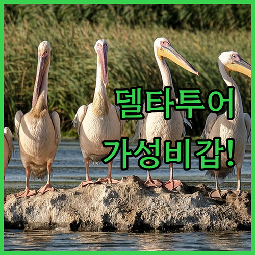 파르나이바 가성비 숙소 추천 리스트 ..