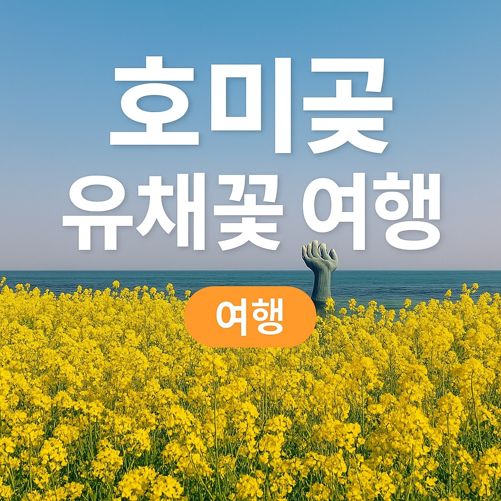 &quot;포항 호미곶 유채꽃 여행&quot;