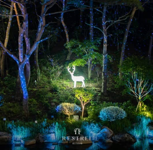 포레스트-리솜의-밤