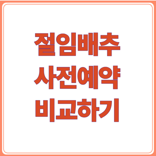 2025 절임배추 사전예약 총정리/가격, 구매처, 꿀팁까지 한눈에!