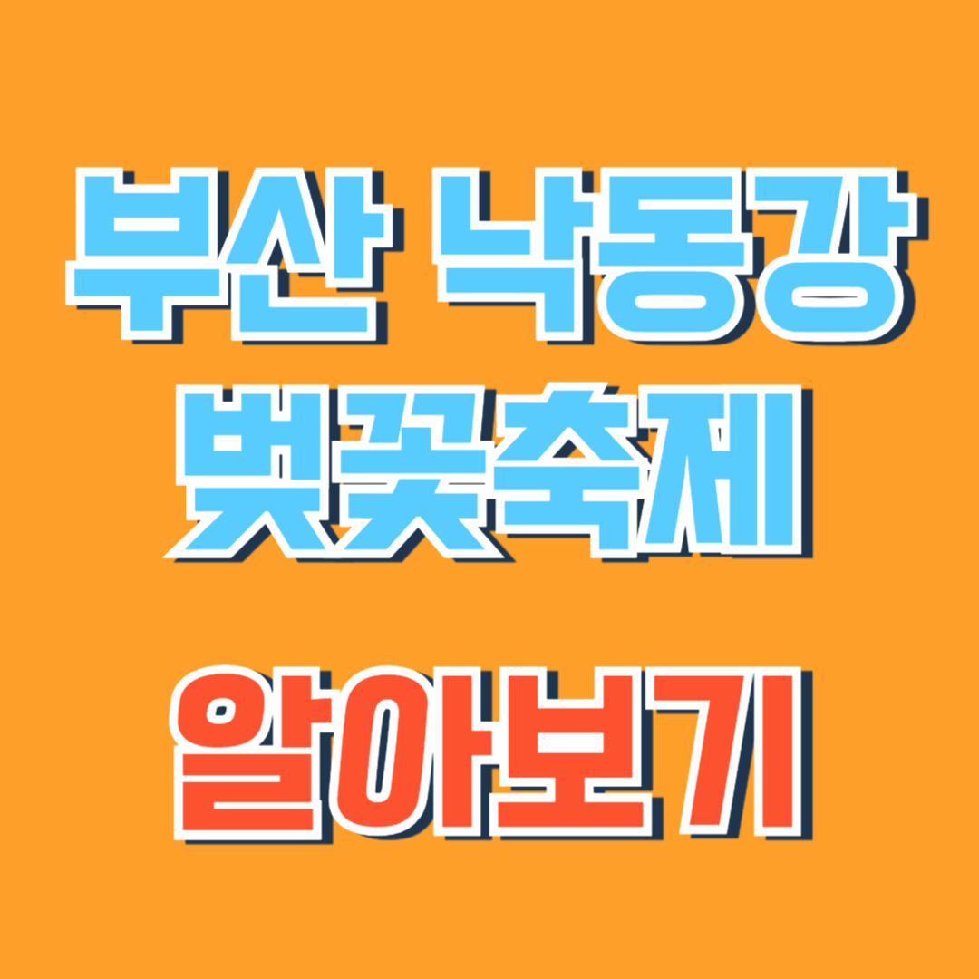 낙동강 벚꽃 축제