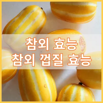 참외 효능 및 영양 정보 섭취 효과 정리_10