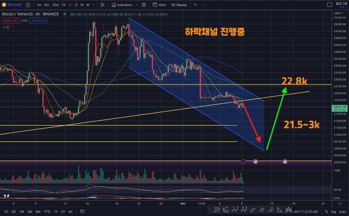 3월 9일 비트코인 시황분석