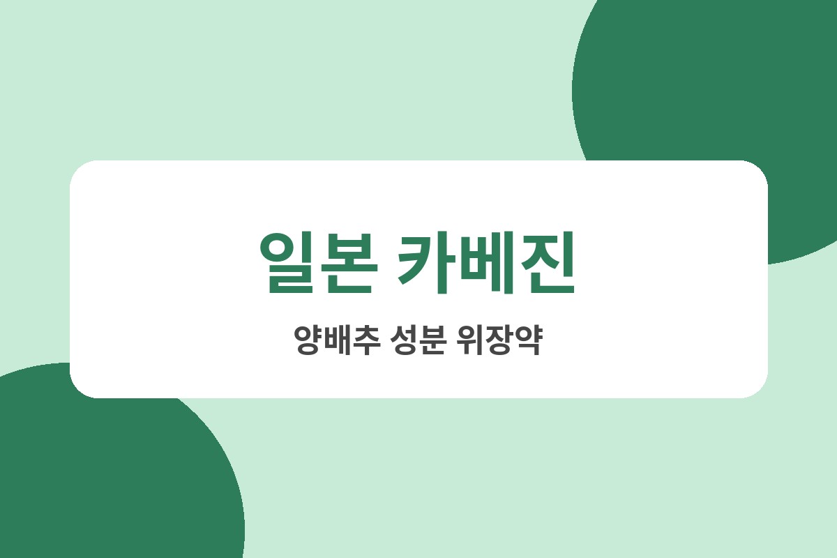 일본 카베진 효능