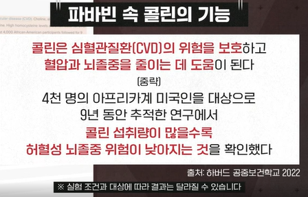 파바빈 효능