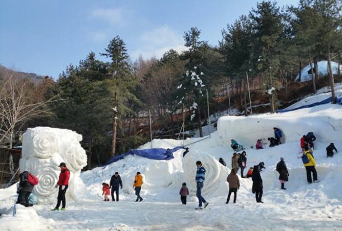 양주 눈꽃 축제
