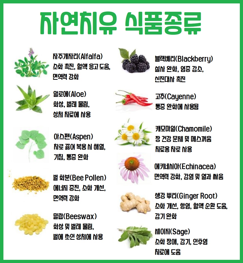 자연 치유 식품종류