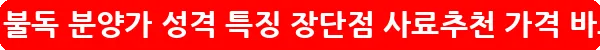 잉글리시 불독 분양가 성격 특징 장단점 사료추천 가격_7