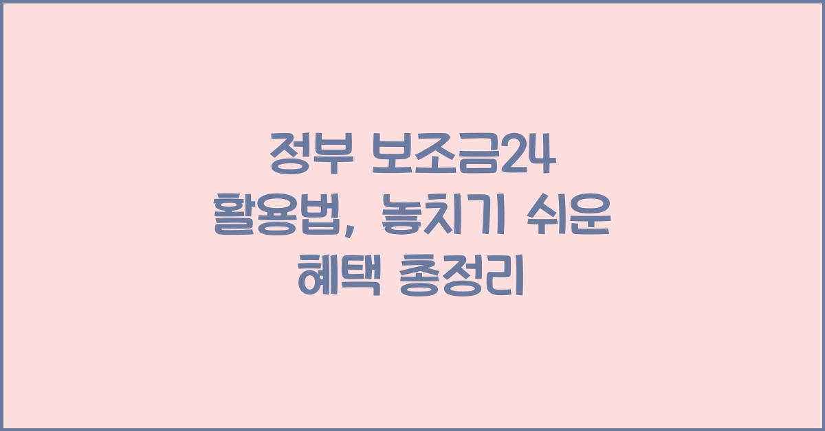 정부 보조금24 활용법