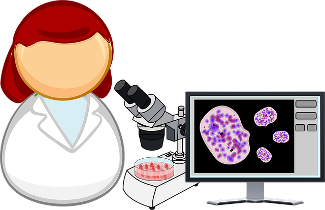 세포 배양육 기술 개발 이미지