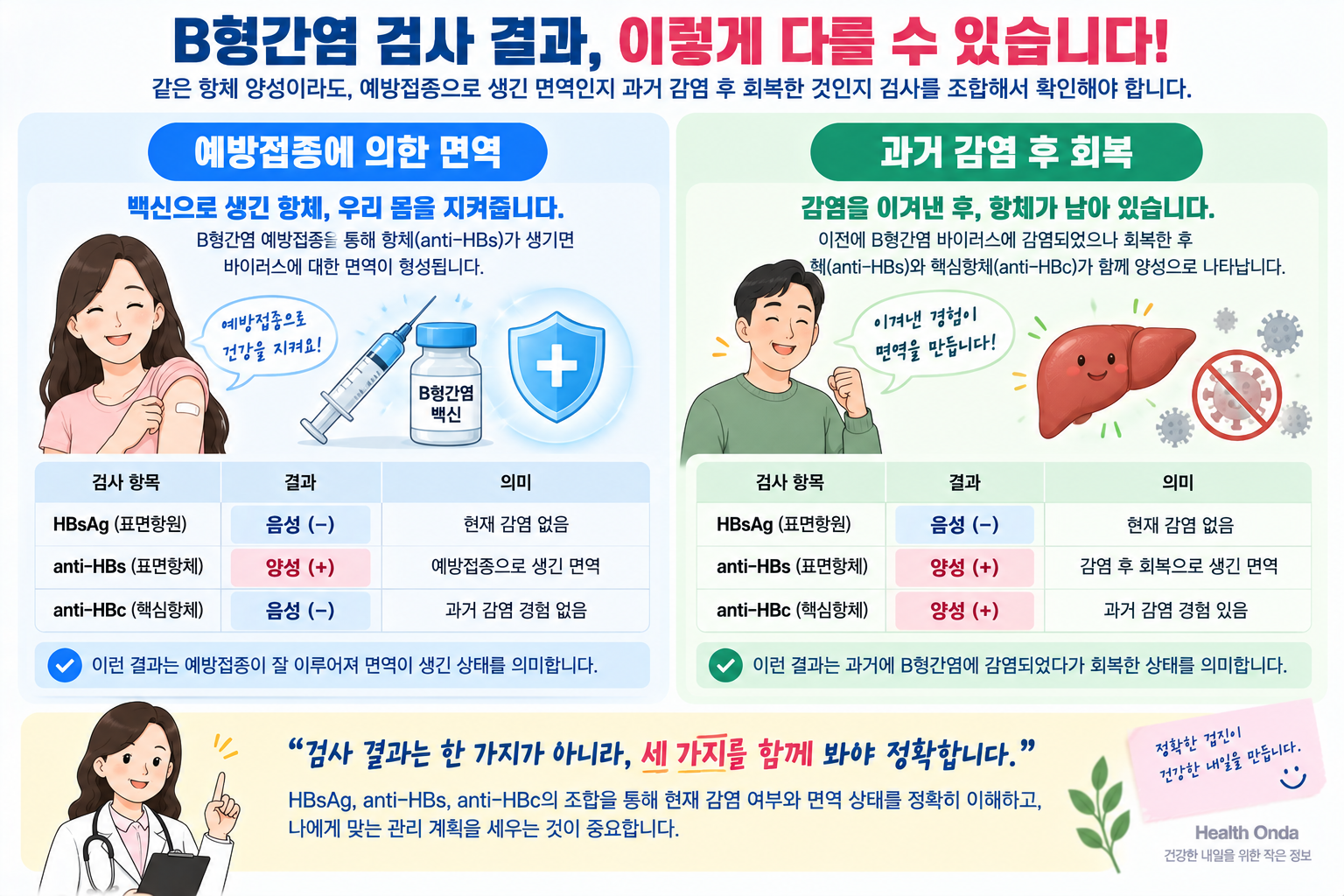 백신에 의한 면역과 과거 감염 후 회복의 B형간염 검사 조합 비교