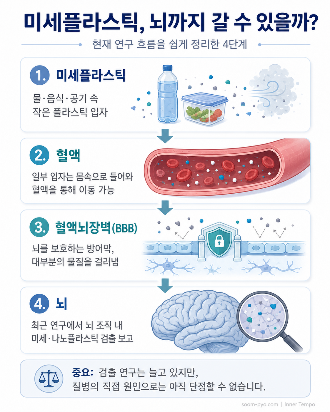 미세플라스틱, 뇌까지 도달하는 경로