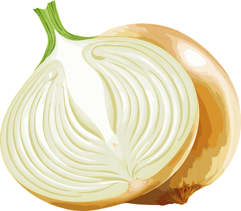 양파 껍질 음식물 쓰레기