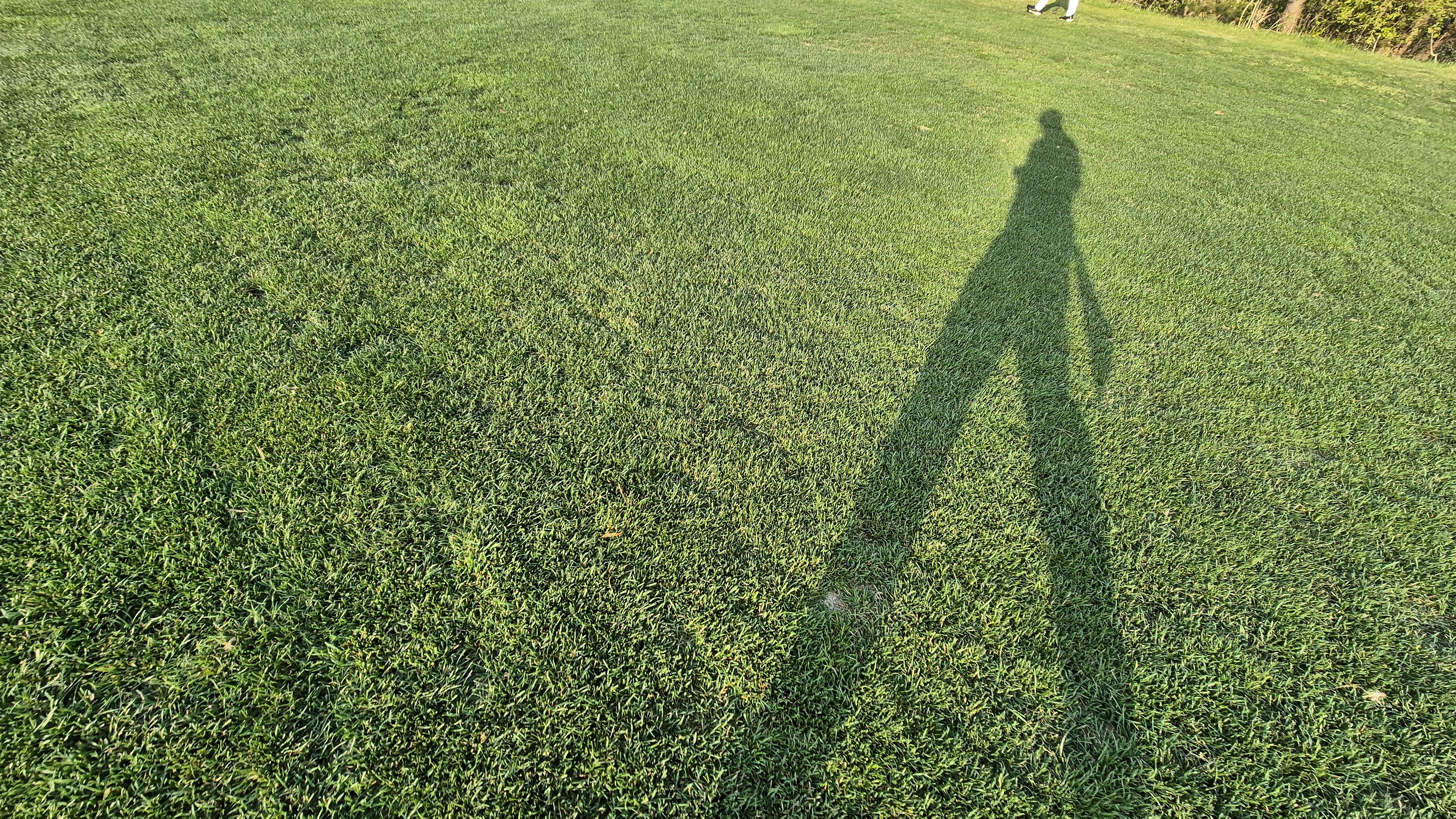 소노펠리체cc 비발디파크 웨스트