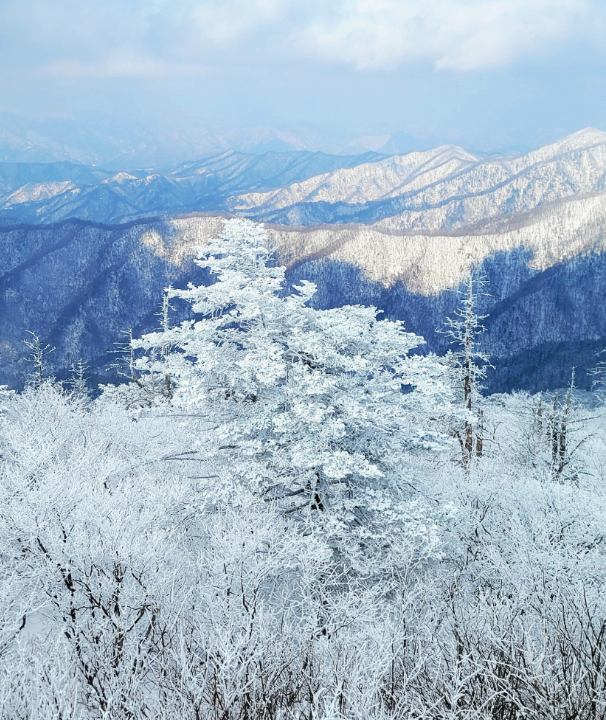 설산 사진
