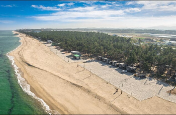 연곡솔향기캠핑장1