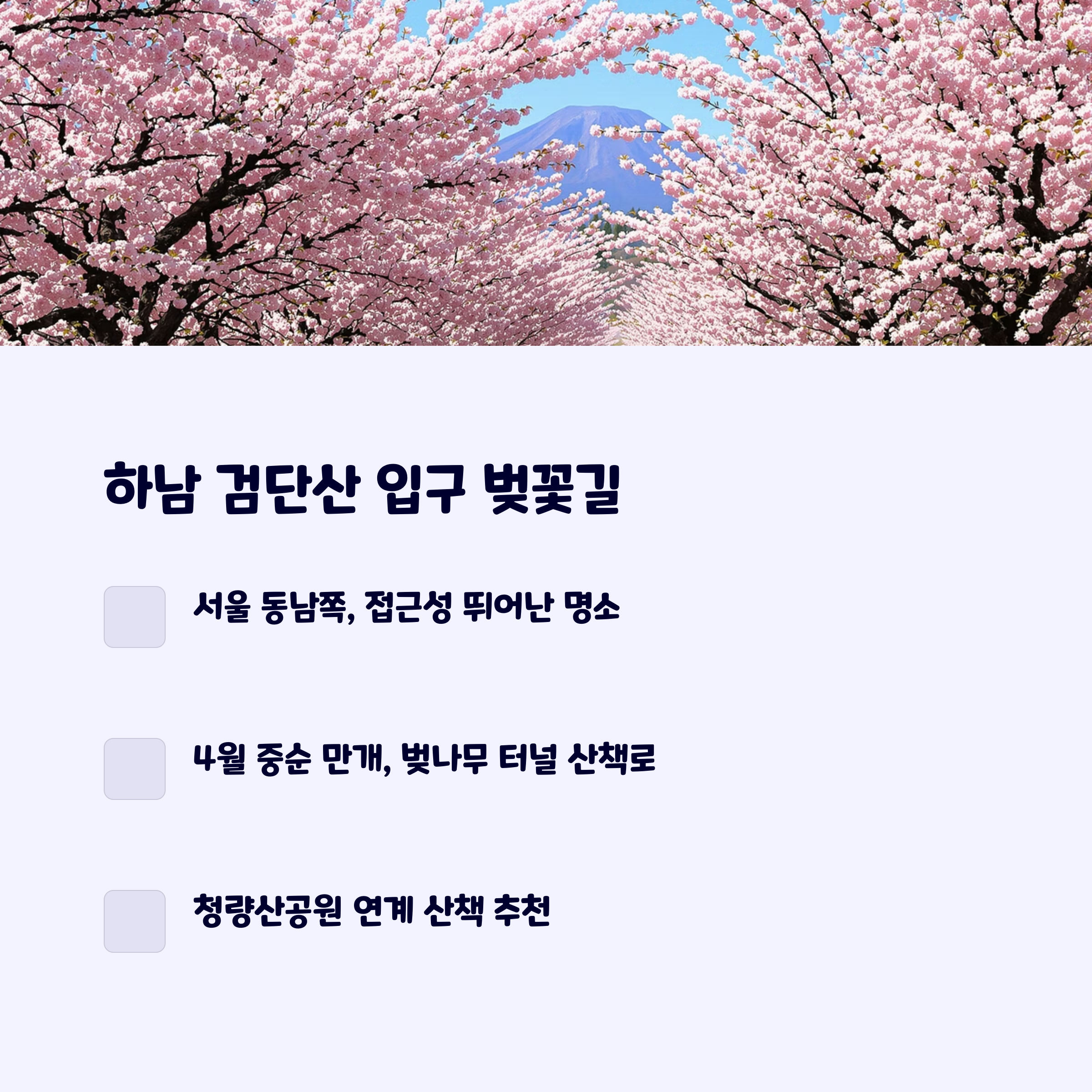 하남검단산입구벚꽃길