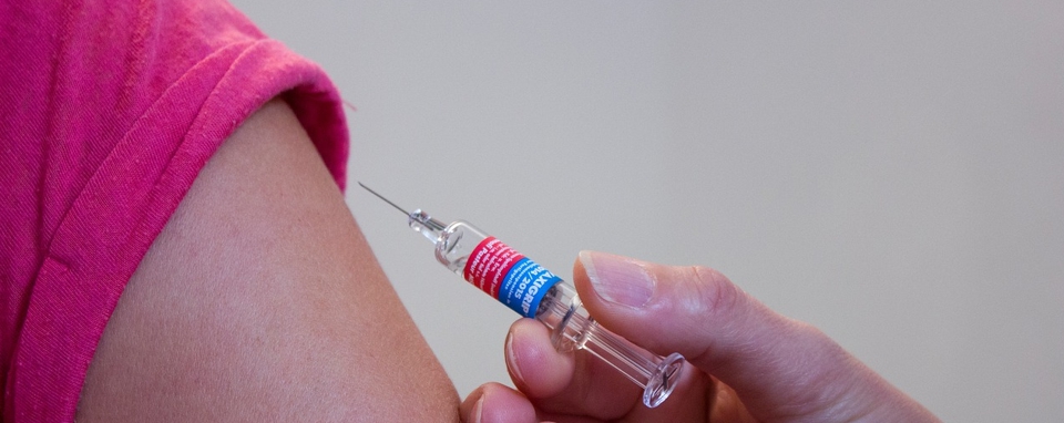 예방접종하는 사진