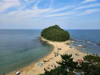 고성 해수욕장 여행 가이드와 스노쿨링 명소 정리_13