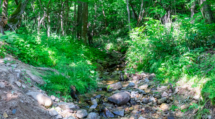 대관령 하늘목장