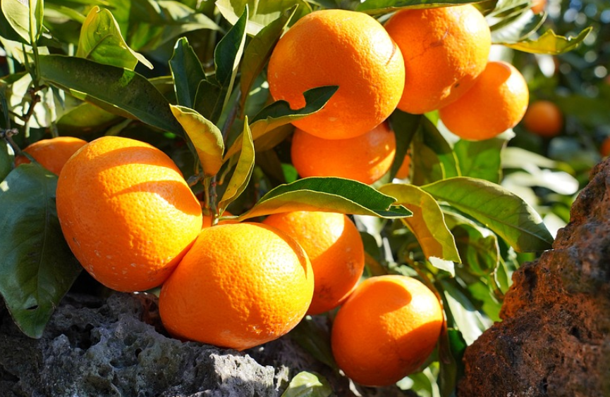 제주도 한달살기