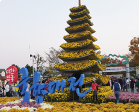 국화꽃으로 만든 탑&#44; 노란국화&#44; 탑