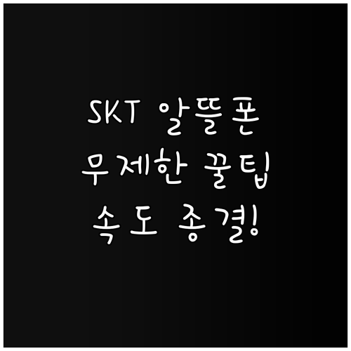 SKT망 알뜰폰 무제한 요금제 품질 ..