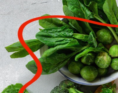 지방간에 좋은 음식 10