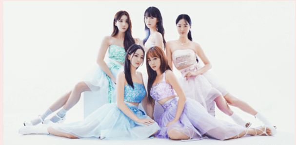 곡성 세계 장미 축제 일정 2024, 초대가수 라인업부터 여행 Tip까지 총정리