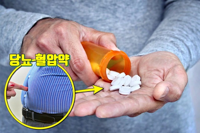 갑자기 뱃살이 찌는 이유 살찌는약, 팔뚝살, 여자 뱃살, 남자 뱃살, 건강 다이어트 팁줌 매일꿀정보