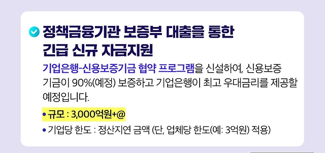 정책금융기관 보증부 대출을 통한 긴급 신규 자금지원